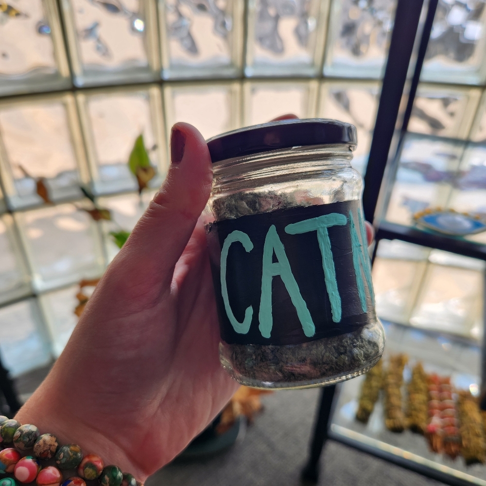 Catnip - Picture 3 of 8